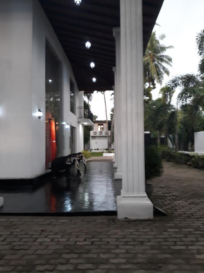 The Kingston Hotel Kiribathgoda Extérieur photo